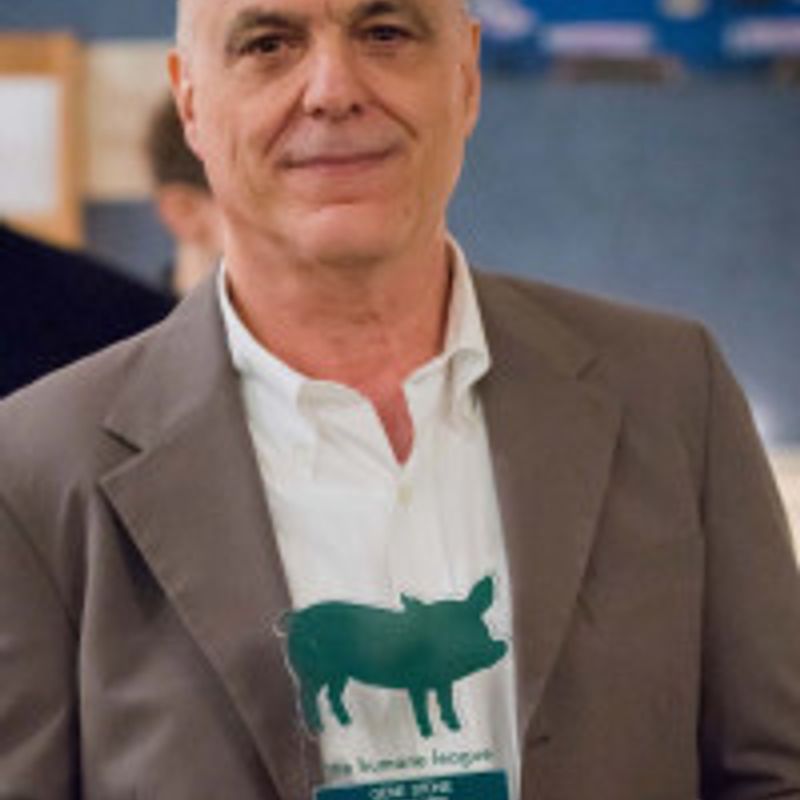 Gene Stone profile picture