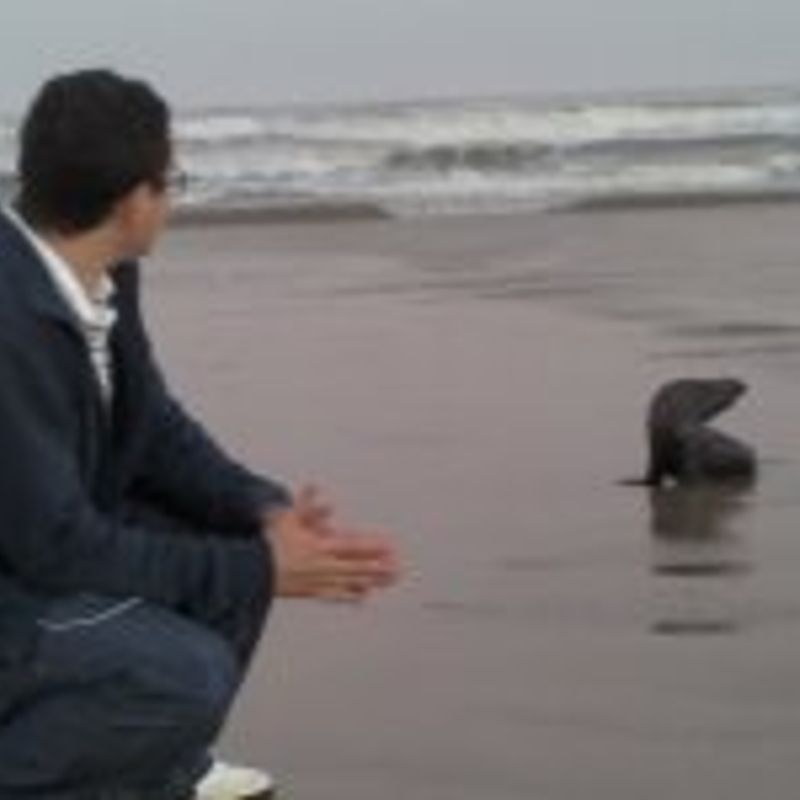 Leo Kades profile picture
