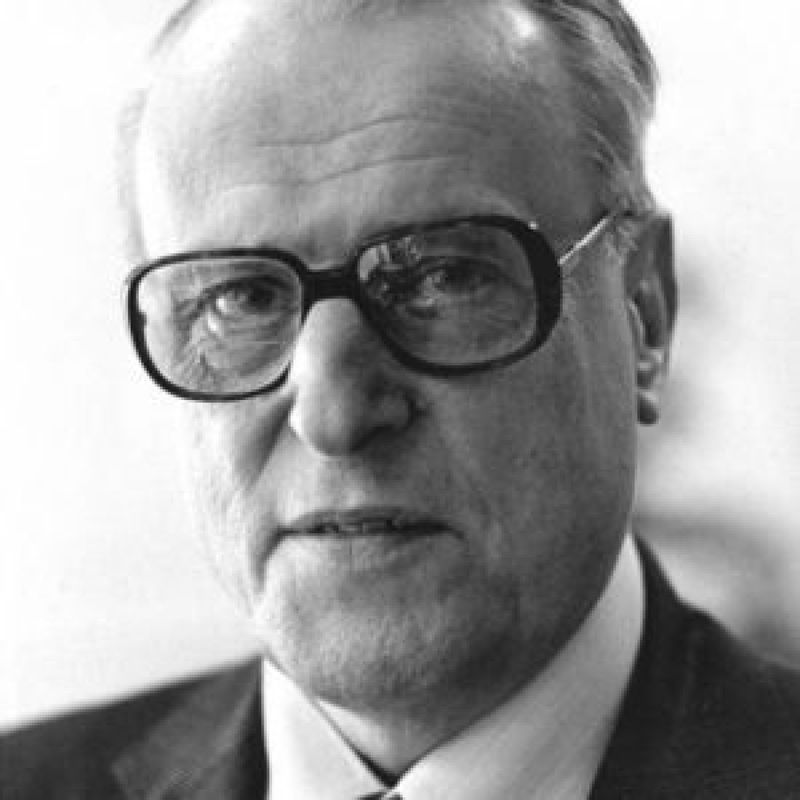 Willem Frederik Hermans profile picture
