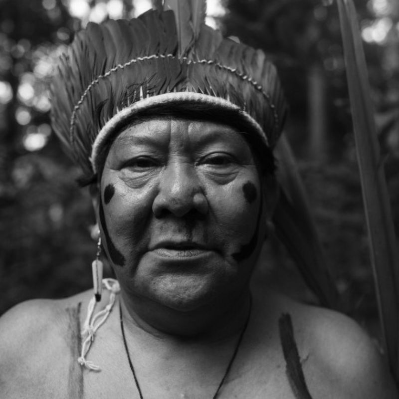 Davi Kopenawa Yanomami profile picture