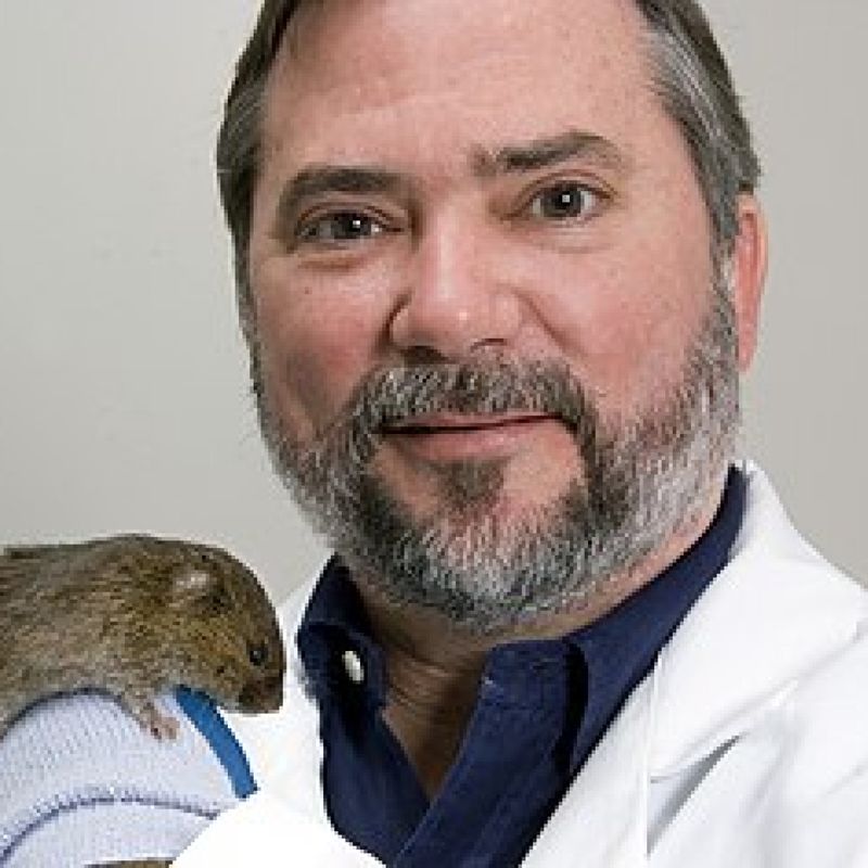 Larry Young profile picture