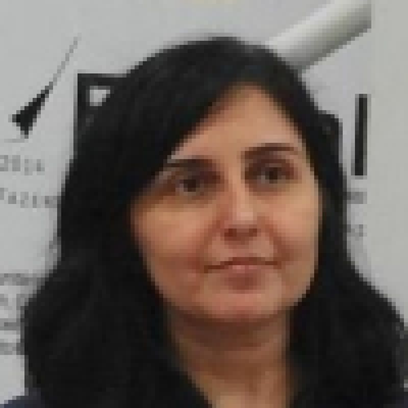 Irineia Maria Franco dos Santos profile picture