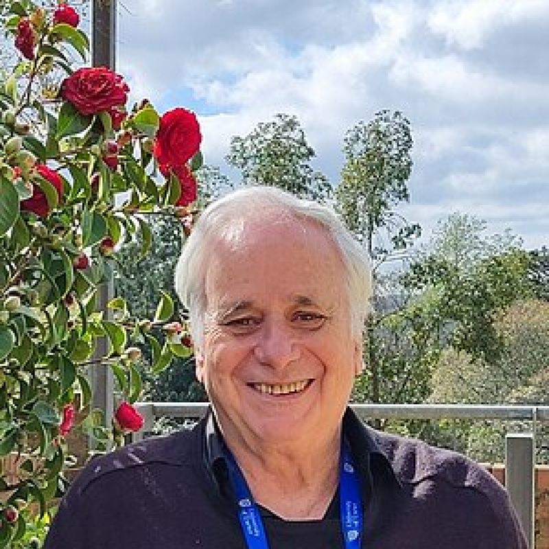 Ilan Pappé profile picture