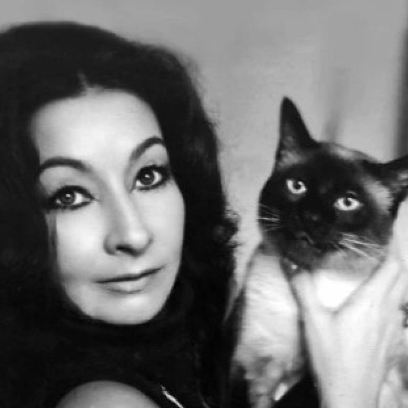 Amparo Dávila profile picture
