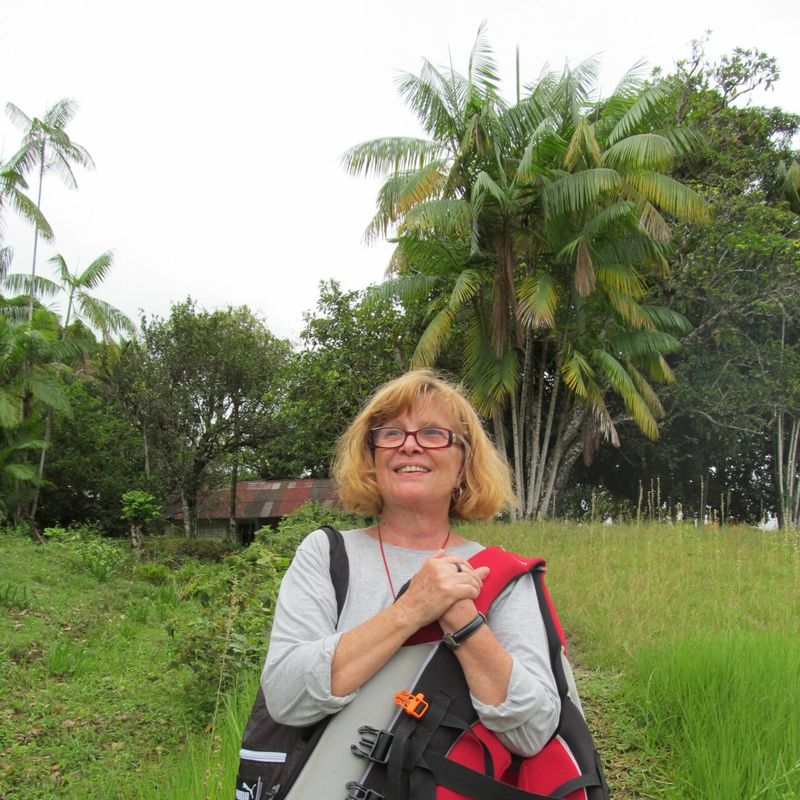 Lucia Hussak van Velthem profile picture