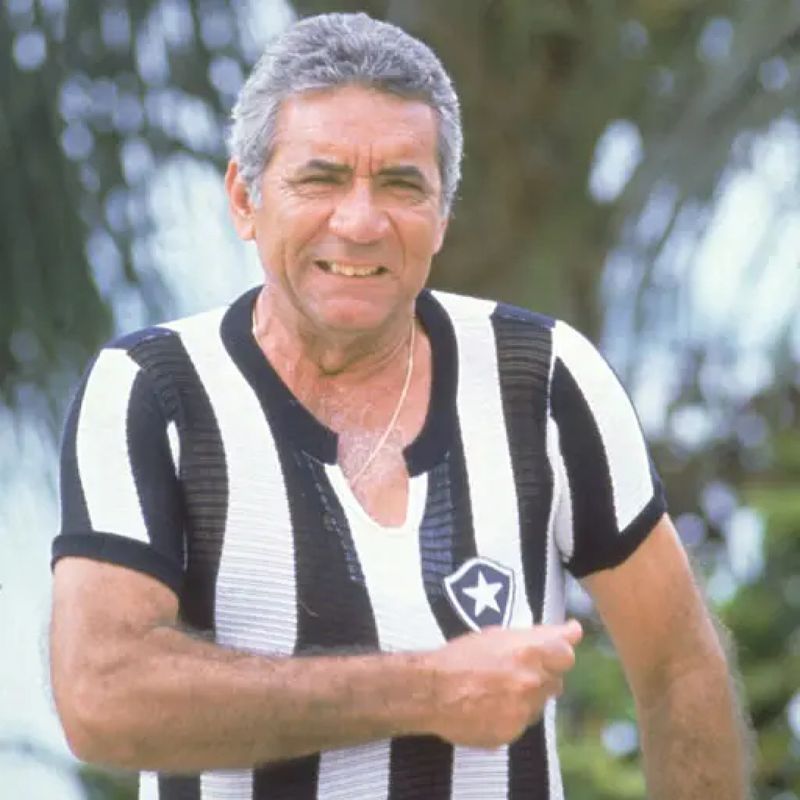 Nilton dos Santos profile picture