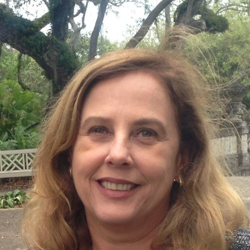 Júnia Ferreira Furtado profile picture