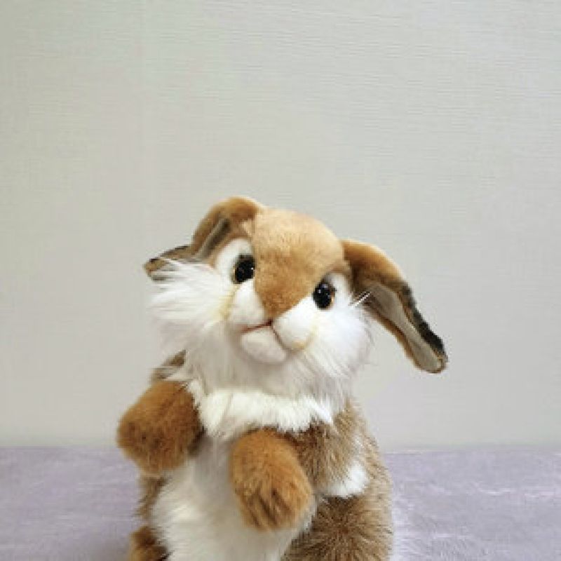 Lee Youngsoo profile picture