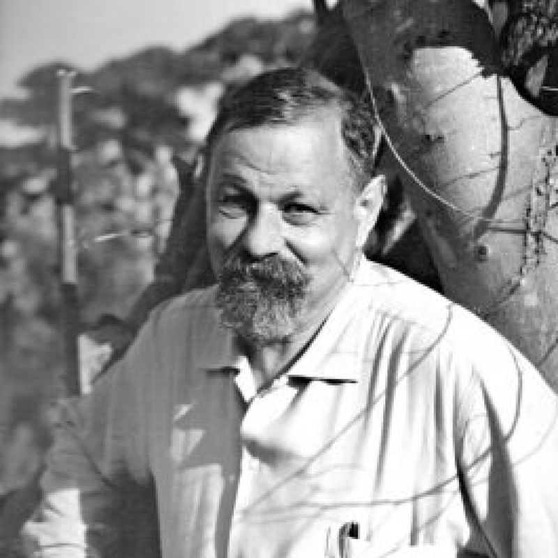 Sándor Lénárd profile picture