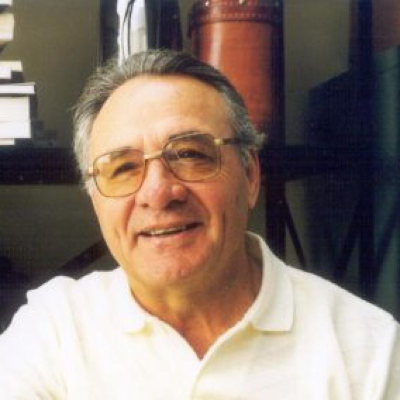 Pedrinho Arcides Guareschi profile picture