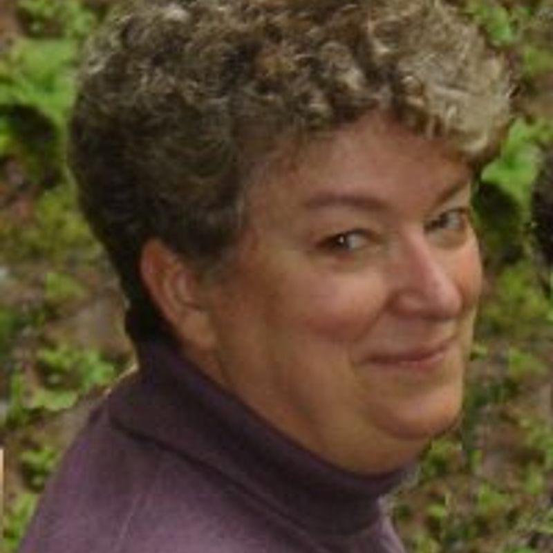 Carol Berg profile picture