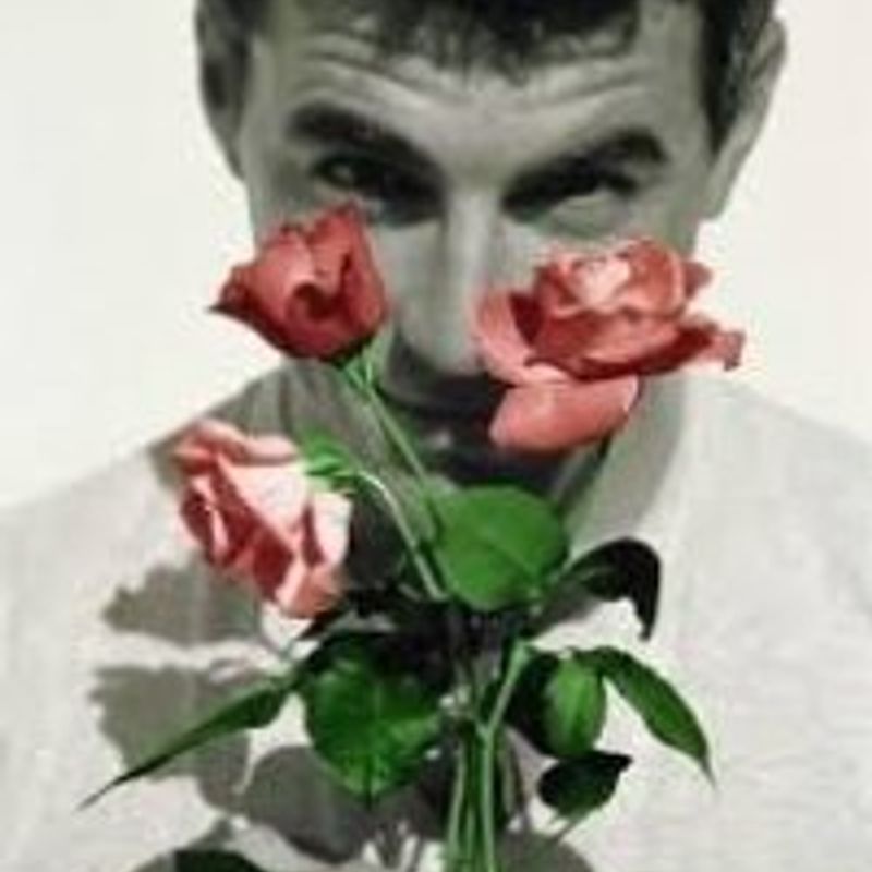 Bernado Henrique profile picture