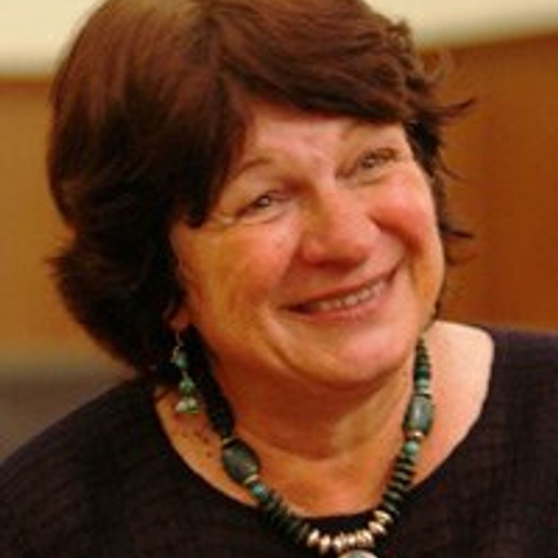 Danah Zohar profile picture