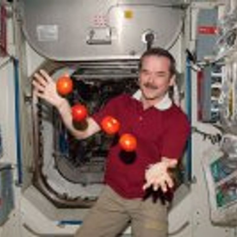 Chris Austin Hadfield profile picture