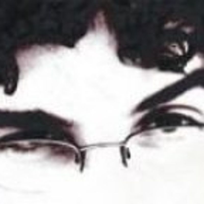 Mario H. Prado profile picture