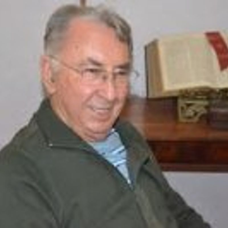 Almir Ribeiro Guimarães profile picture
