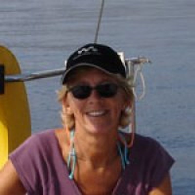 Barbara Elsborg profile picture