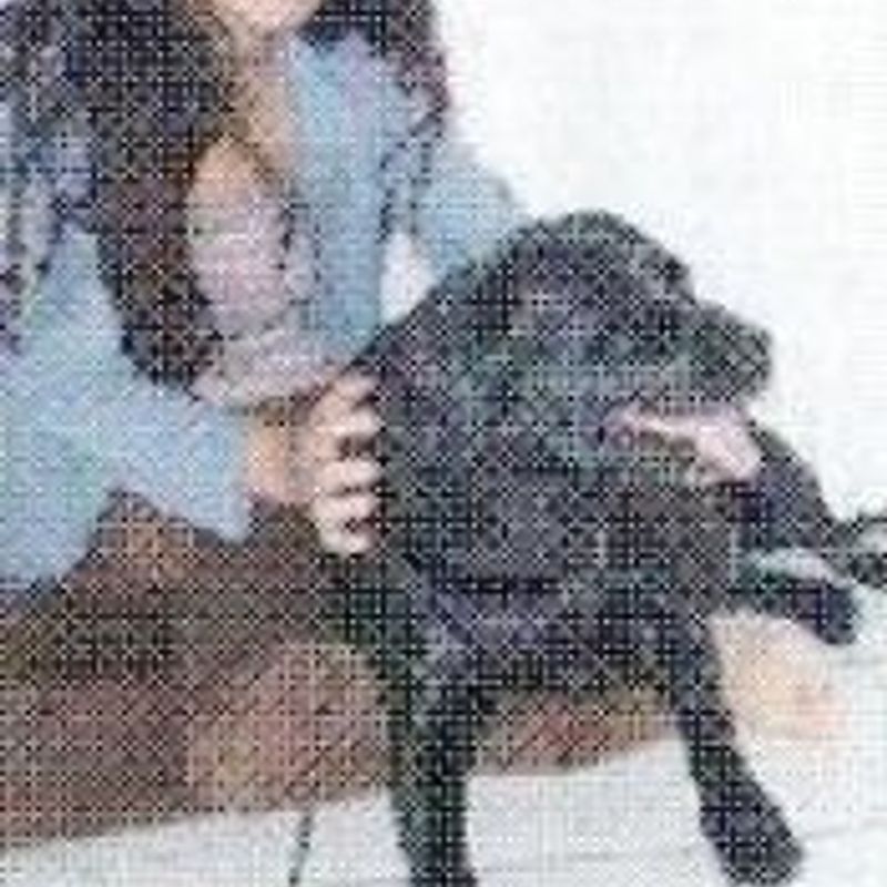 Cinthia picture