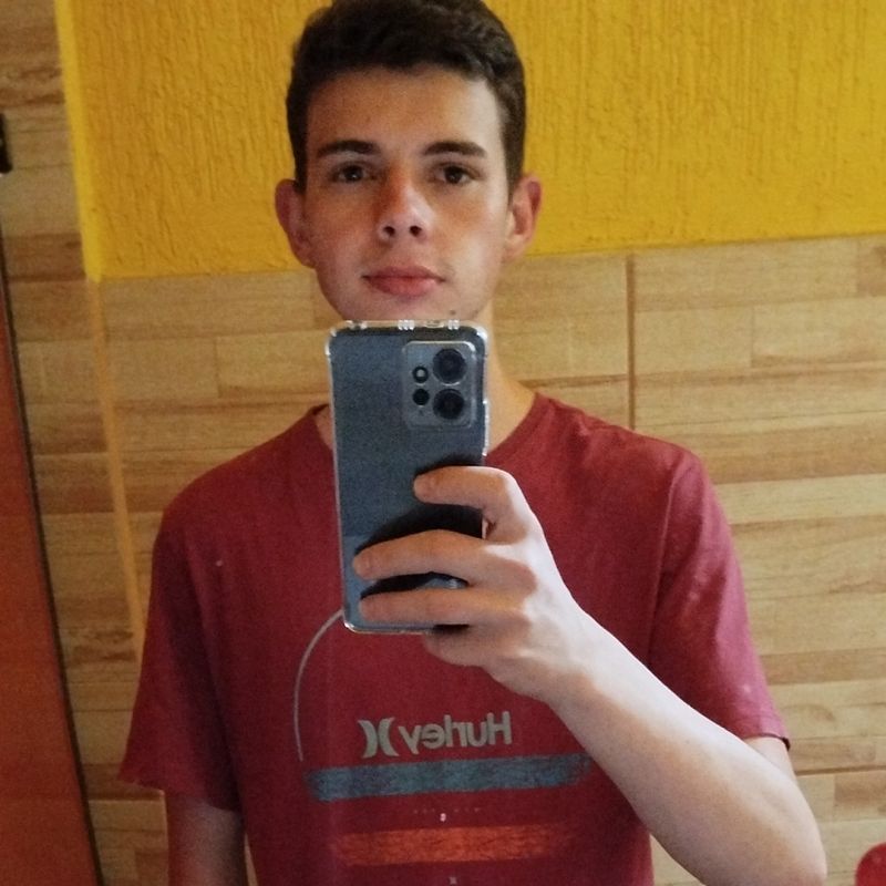 Luiz Henrique picture