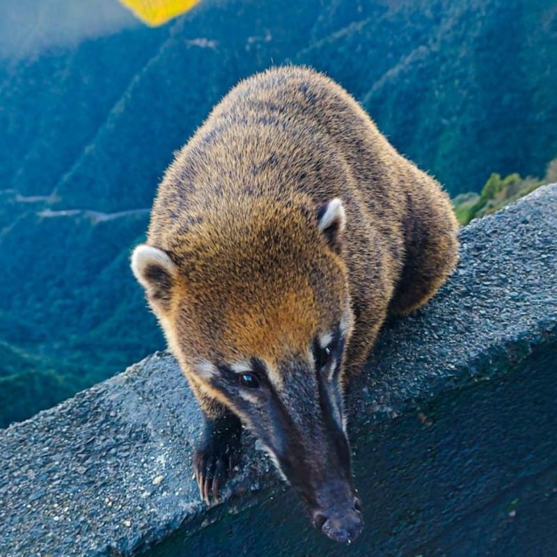 JandãoB picture