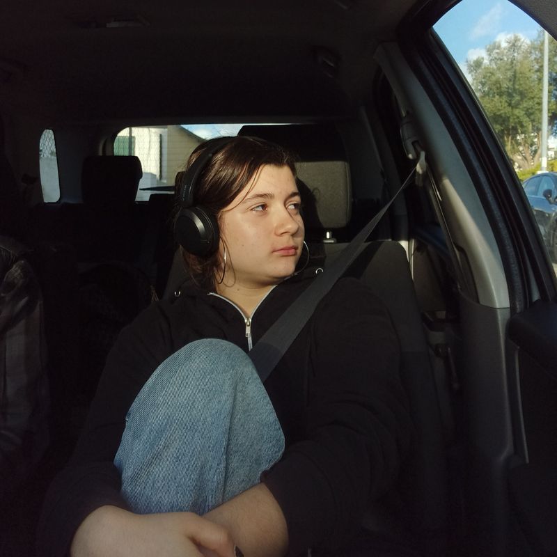 Lara Luís picture