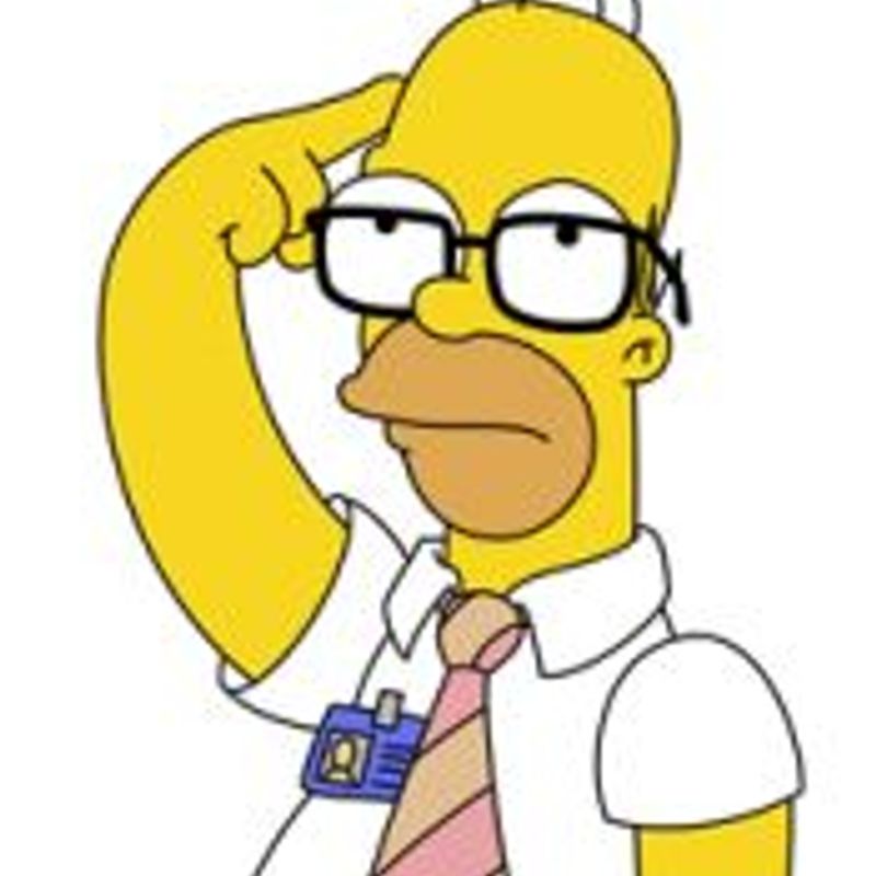 Homer picture