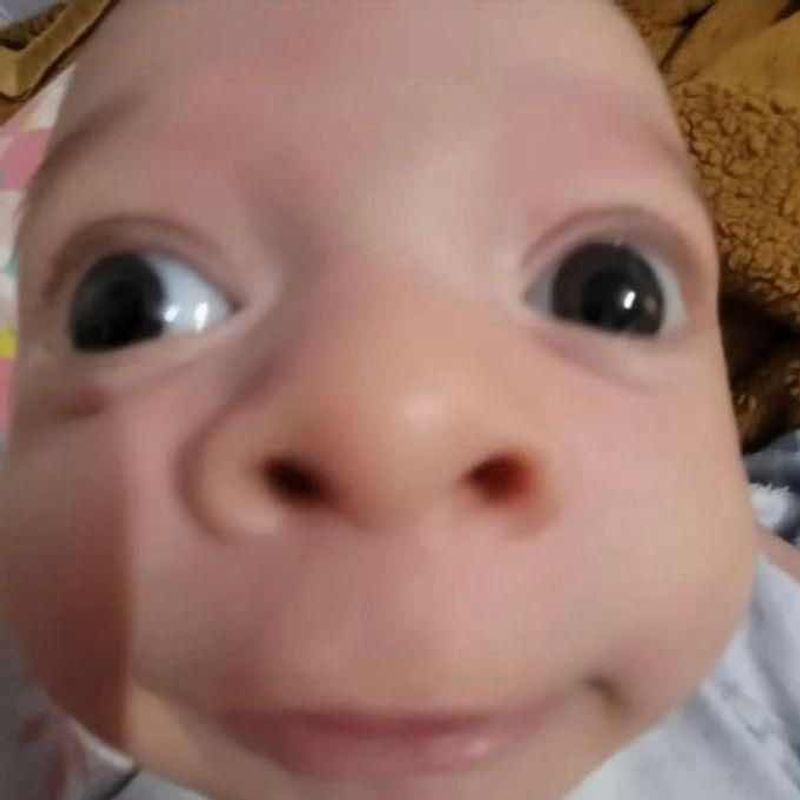 Maria Eduarda  picture