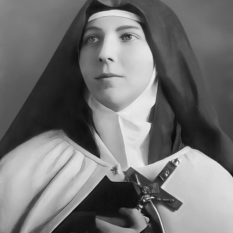 Eremita Carmelita picture