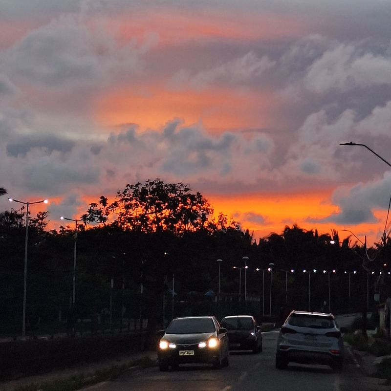 Maitê Pestana picture