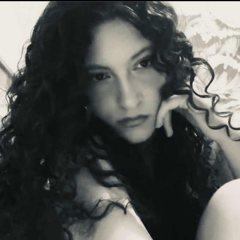 Fe Fs picture