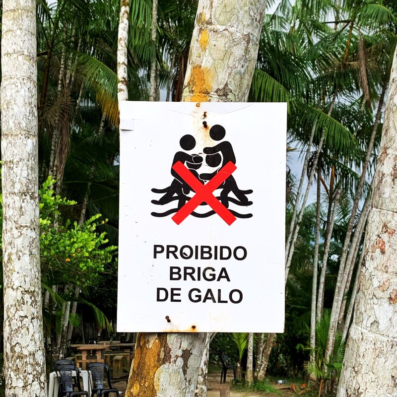 Sem Nome picture