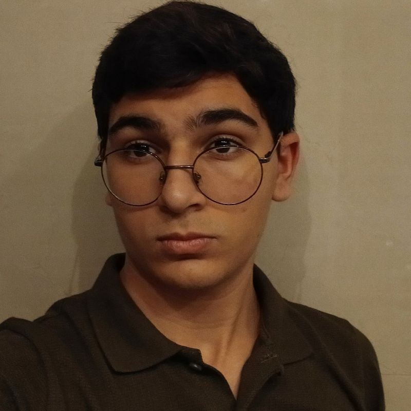 Felipe Ibrahim Wehbe picture