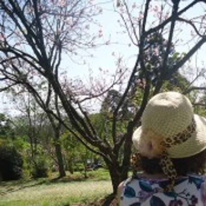 Geisy Nunes picture