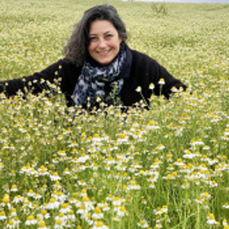 Mayra Corrêa E Castro picture