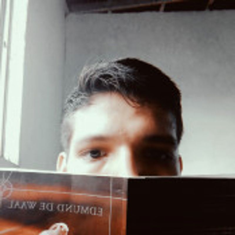 Igor Melo picture