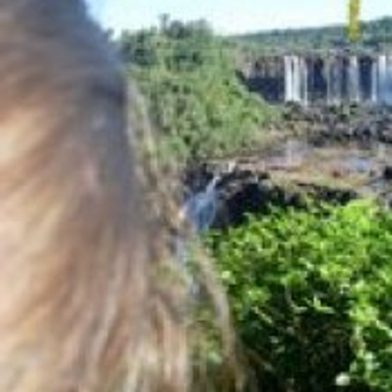 Lariane Santos picture