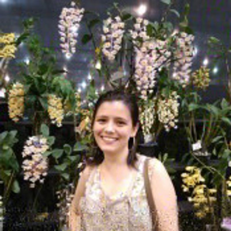 Stephanie B. Gonçalves picture