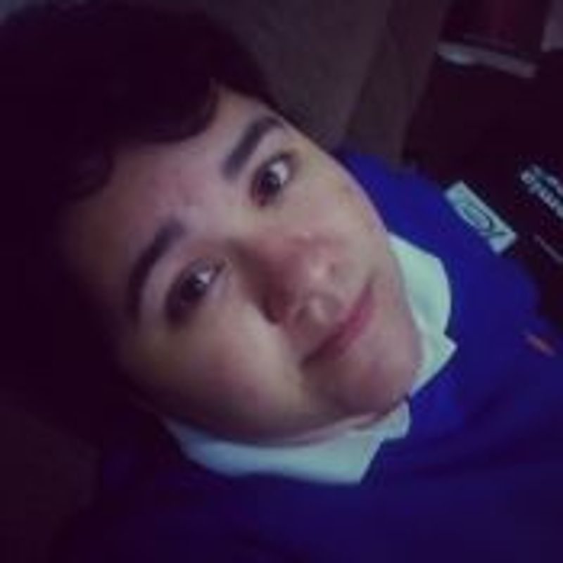 Gabriela Grein da Silva picture