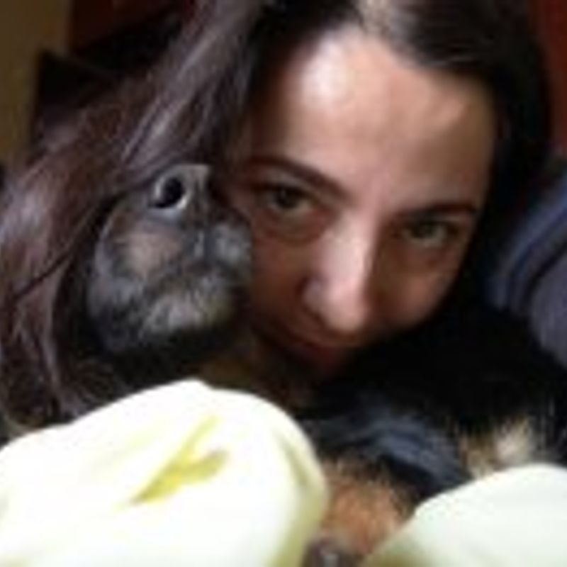 Gabriela Ribeiro Yokomizo picture