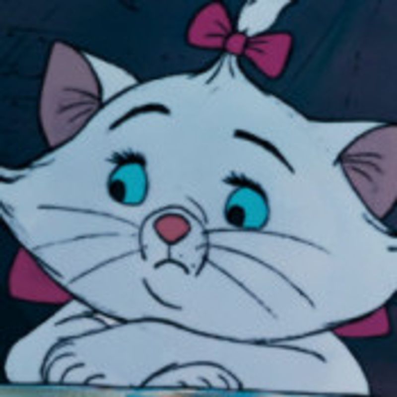 Jéssica Zottis picture