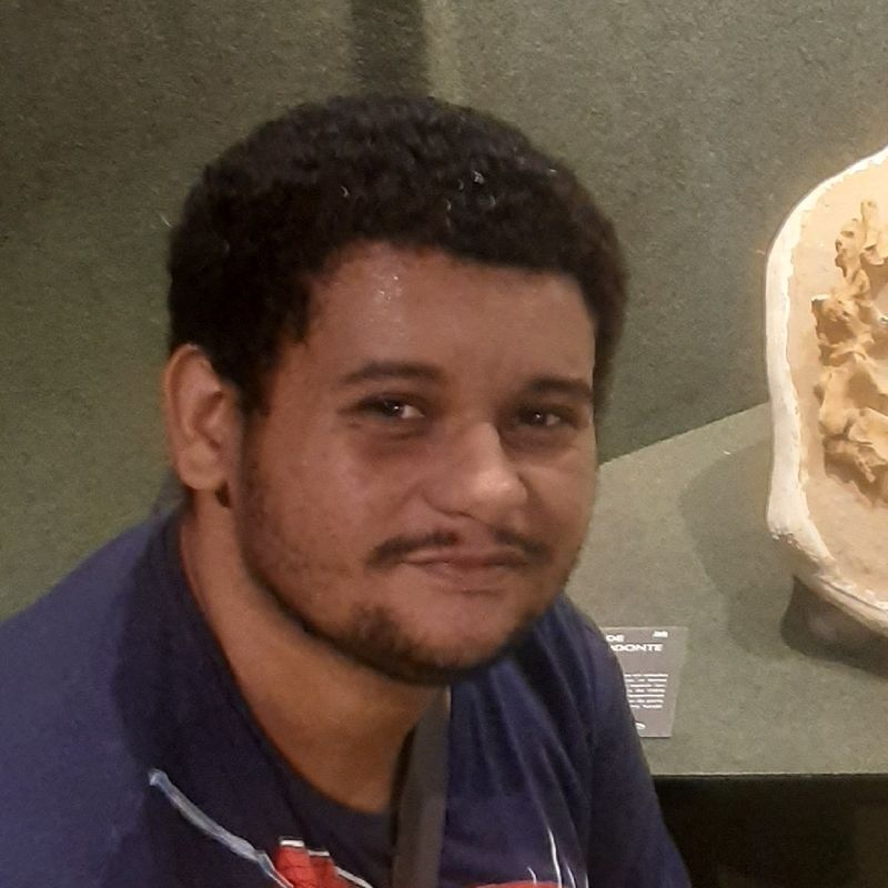 Kaique Rodriges Brandão picture
