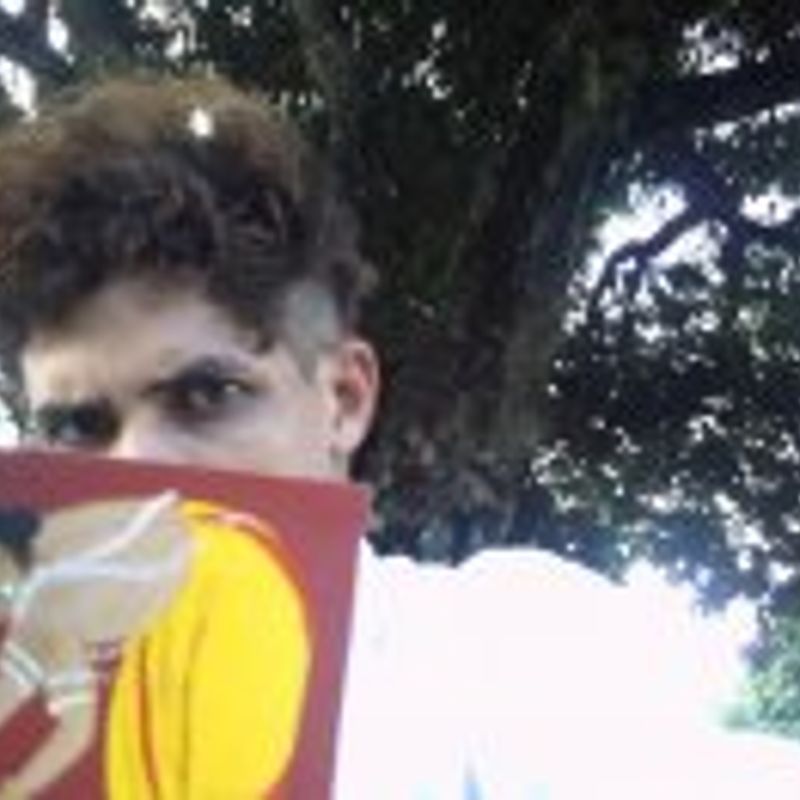 Wesley Pereira de Castro picture