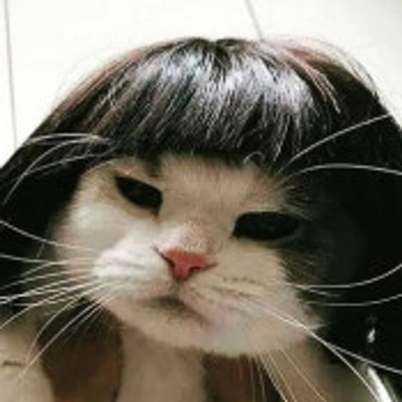 Thais Patueli picture