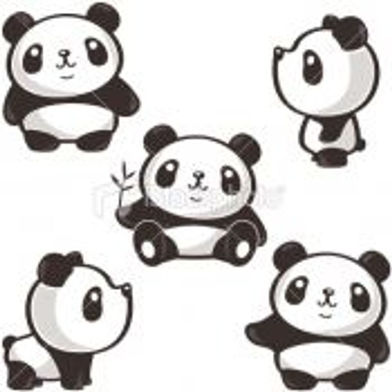 Andressa Luciani Pereira Rodrigues picture