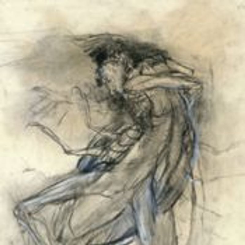 Igor Rocha picture