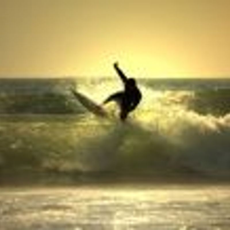 Felipe Cardoso picture