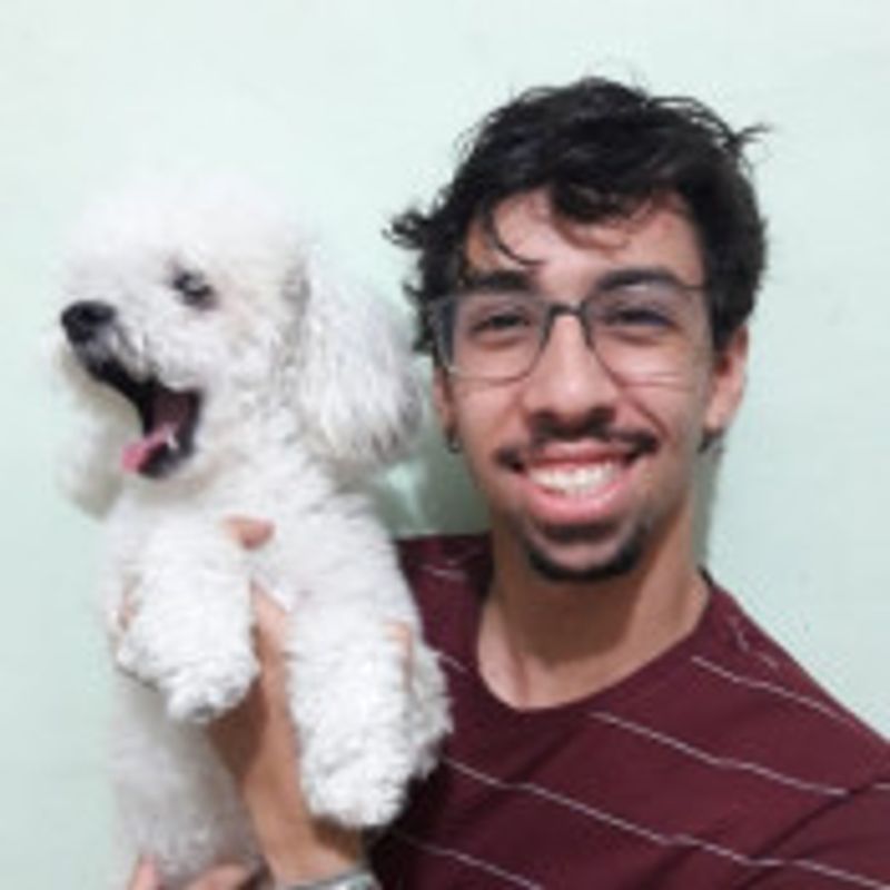 Gui Mendes  picture