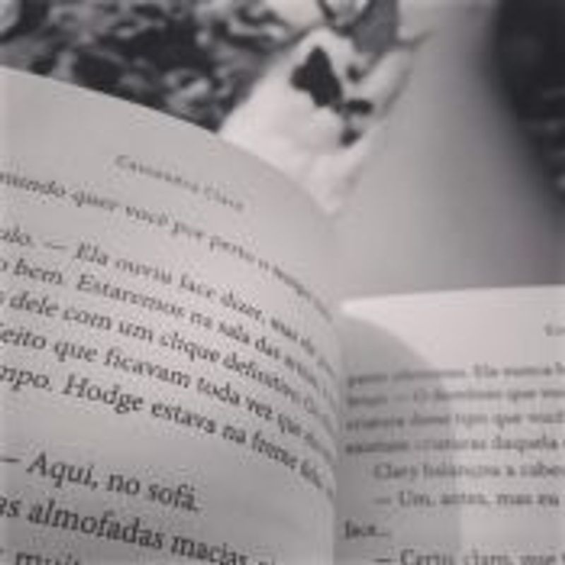 Stella Lopes picture