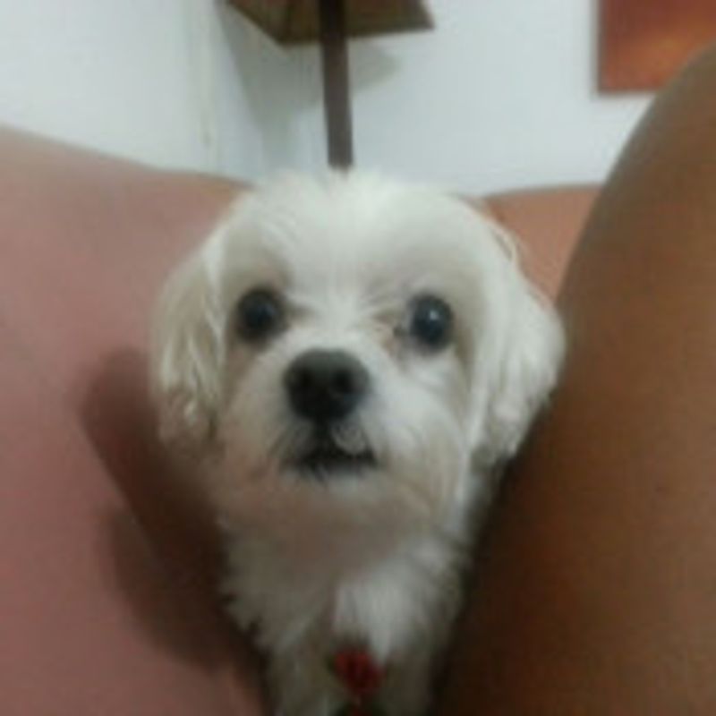 Fernanda  picture