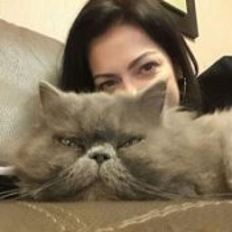 Vanessa Dias picture